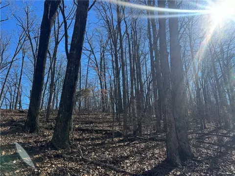 953 Nc 8920, Deer, AR 72628 photo 30