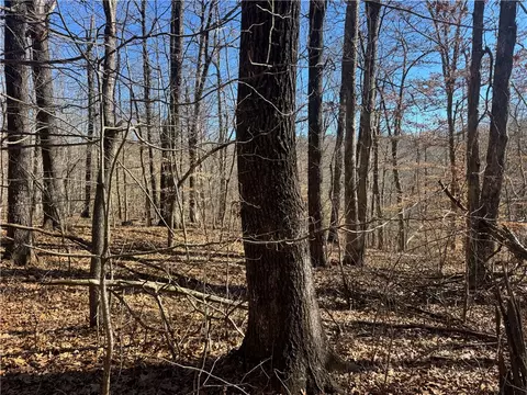 953 Nc 8920, Deer, AR 72628 photo 23