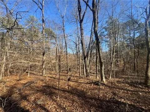 953 Nc 8920, Deer, AR 72628 photo 45