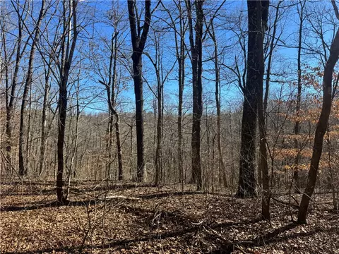 953 Nc 8920, Deer, AR 72628 photo 20
