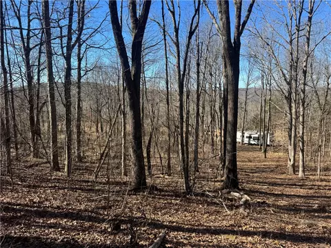 953 Nc 8920, Deer, AR 72628 photo 32