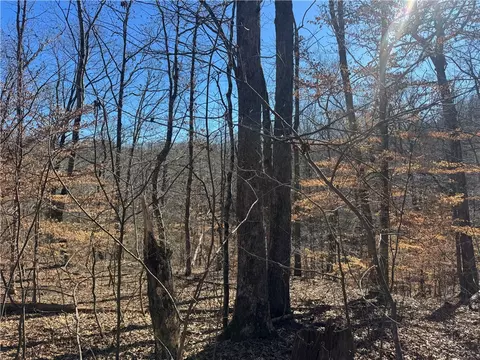 953 Nc 8920, Deer, AR 72628 photo 24