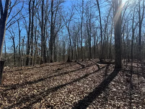 953 Nc 8920, Deer, AR 72628 photo 34