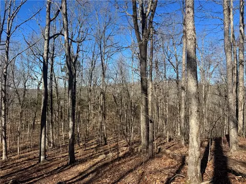 953 Nc 8920, Deer, AR 72628 photo 33
