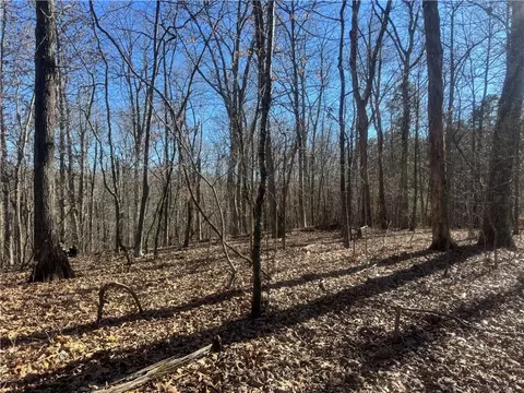953 Nc 8920, Deer, AR 72628 photo 36