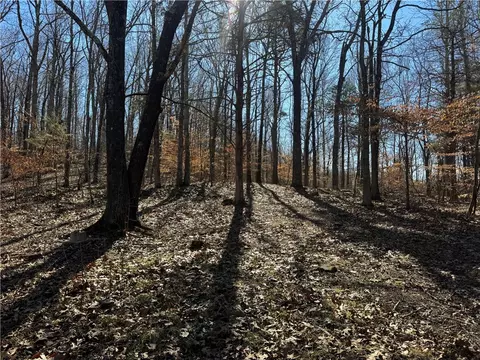 953 Nc 8920, Deer, AR 72628 photo 11