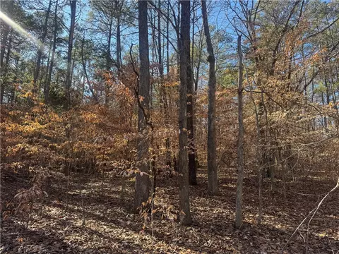 953 Nc 8920, Deer, AR 72628 photo 52