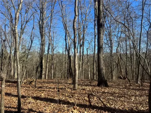 953 Nc 8920, Deer, AR 72628 photo 37