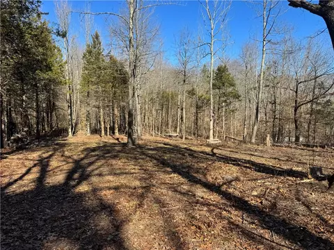 953 Nc 8920, Deer, AR 72628 photo 10