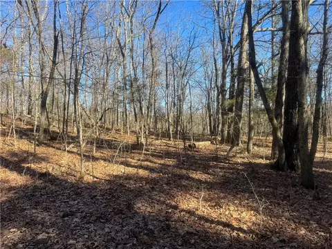953 Nc 8920, Deer, AR 72628 photo 40