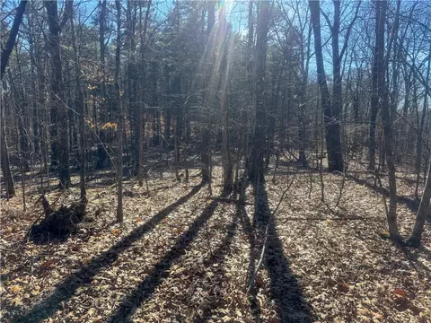 953 Nc 8920, Deer, AR 72628 photo 39
