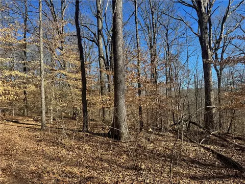 953 Nc 8920, Deer, AR 72628 photo 19