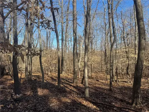 953 Nc 8920, Deer, AR 72628 photo 53