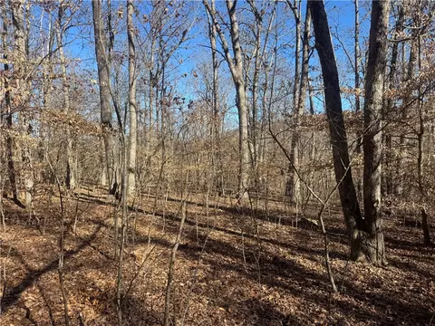 953 Nc 8920, Deer, AR 72628 photo 48