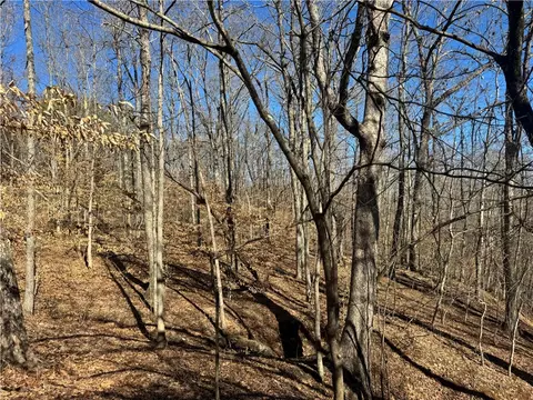 953 Nc 8920, Deer, AR 72628 photo 16