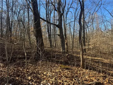 953 Nc 8920, Deer, AR 72628 photo 54