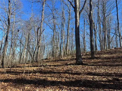 953 Nc 8920, Deer, AR 72628 photo 31