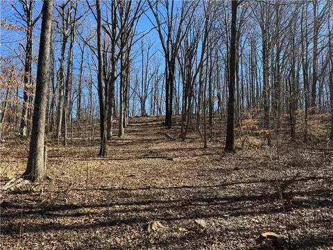 953 Nc 8920, Deer, AR 72628 photo 7