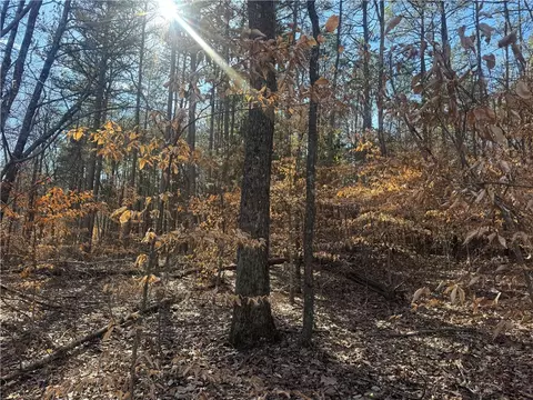 953 Nc 8920, Deer, AR 72628 photo 51
