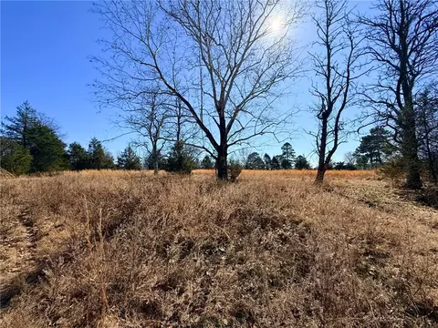 1164 Mountain Spring Rd, Delaware, AR 72835 photo 45