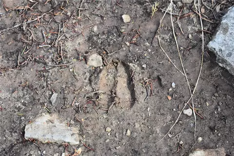 * Cedar Creek Road, Flippin, AR 72634