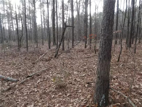 26020 Hensley Loop, Hensley, AR 72065 photo 32
