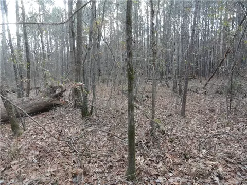 26020 Hensley Loop, Hensley, AR 72065 photo 36