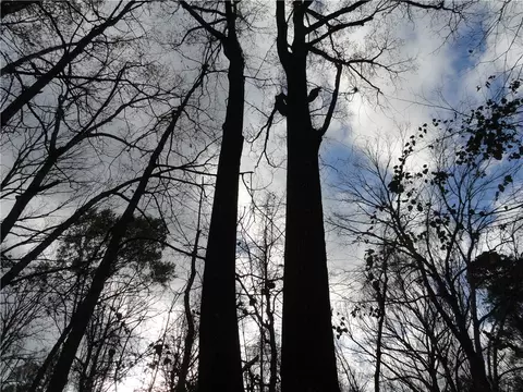26020 Hensley Loop, Hensley, AR 72065 photo 19