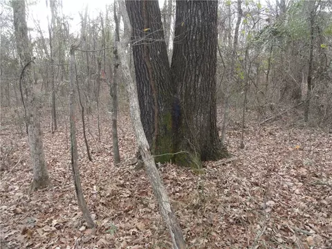 26020 Hensley Loop, Hensley, AR 72065 photo 18