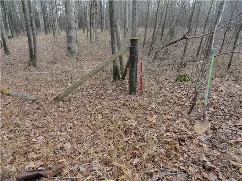 26020 Hensley Loop, Hensley, AR 72065 photo 37