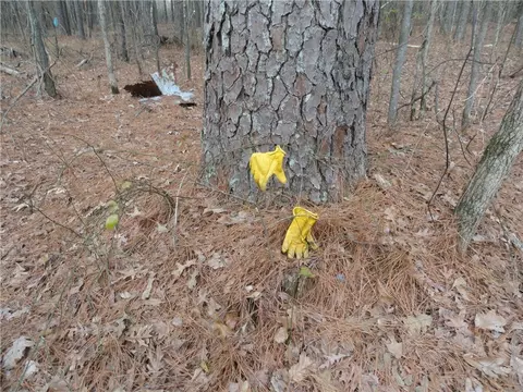 26020 Hensley Loop, Hensley, AR 72065 photo 34