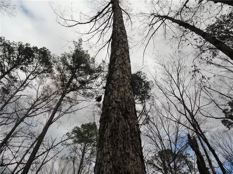 26020 Hensley Loop, Hensley, AR 72065 photo 30