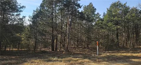 E Mockingbird Trail, Diamond City, AR 72630