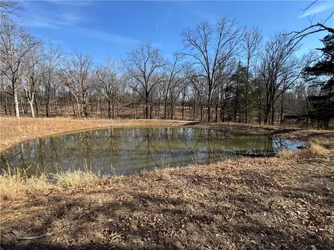 Carter Road, West Fork, AR 72774 photo 11
