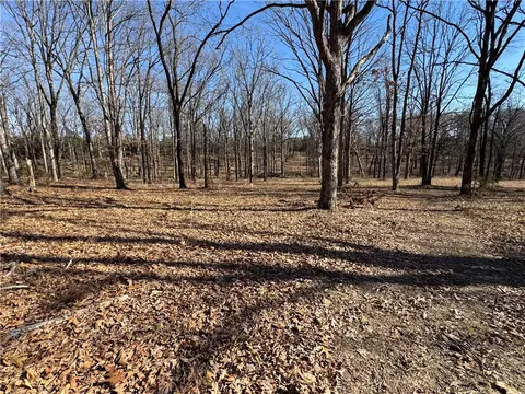 Carter Road, West Fork, AR 72774 photo 9