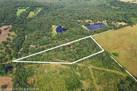 Carter Road, West Fork, AR 72774 photo 3