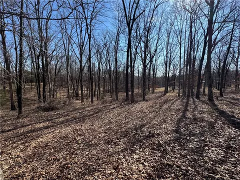 Carter Road, West Fork, AR 72774 photo 5