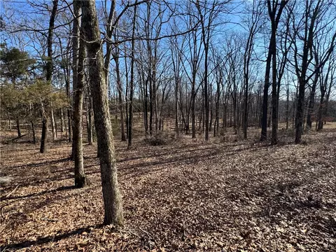 Carter Road, West Fork, AR 72774 photo 6
