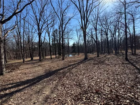 Carter Road, West Fork, AR 72774 photo 7