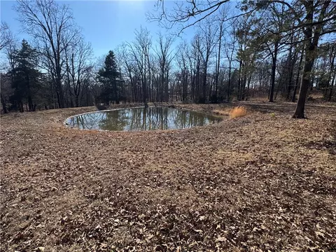 Carter Road, West Fork, AR 72774 photo 2