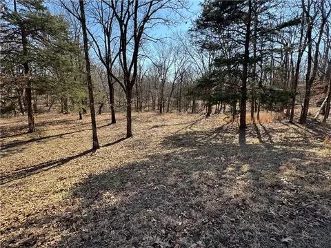 Carter Road, West Fork, AR 72774 photo 10