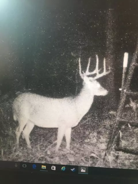 Other - 10557 Devils Den, Winslow, AR 72959 photo 17 of 19