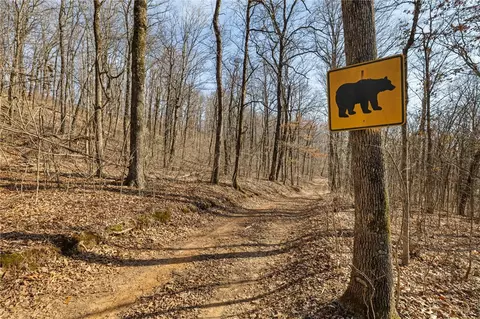 Other - 10557 Devils Den, Winslow, AR 72959 photo 16 of 18