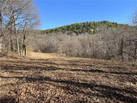 Terrapin Road, Harrison, AR 72601