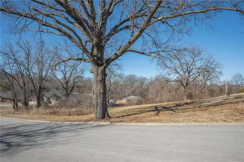 Sherry Drive, Neosho, MO 64850 photo 6