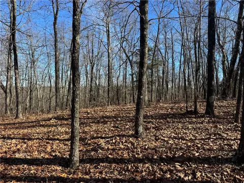 tbd 001 Plumlee Rd, Compton, AR 72611 photo 3