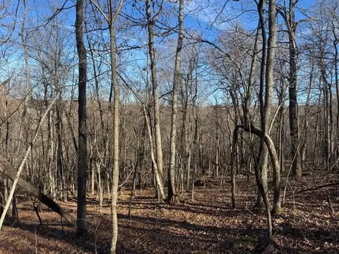 tbd 001 Plumlee Rd, Compton, AR 72611 photo 5