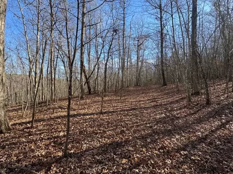 tbd 001 Plumlee Rd, Compton, AR 72611 photo 17