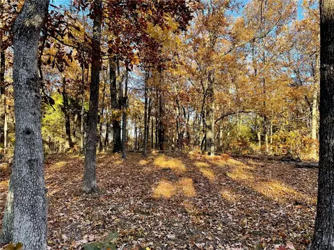 tbd 001 Plumlee Rd, Compton, AR 72611 photo 27