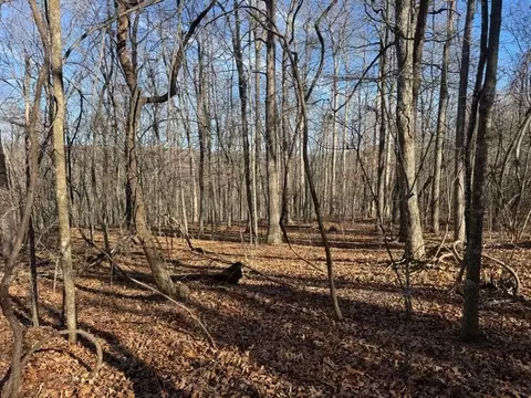 tbd 001 Plumlee Rd, Compton, AR 72611 photo 7
